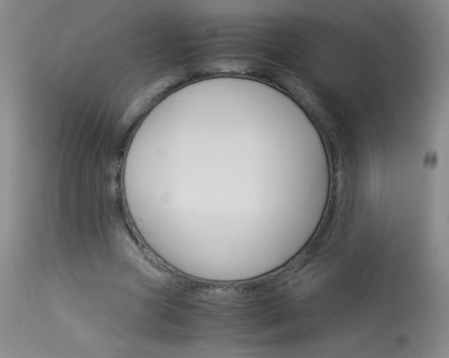 X0000114010537200910020954