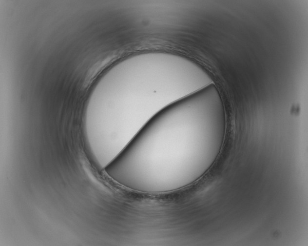 X0000114010538200910020954