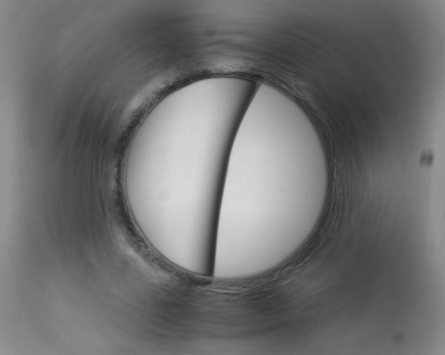 X0000114010539200910020955