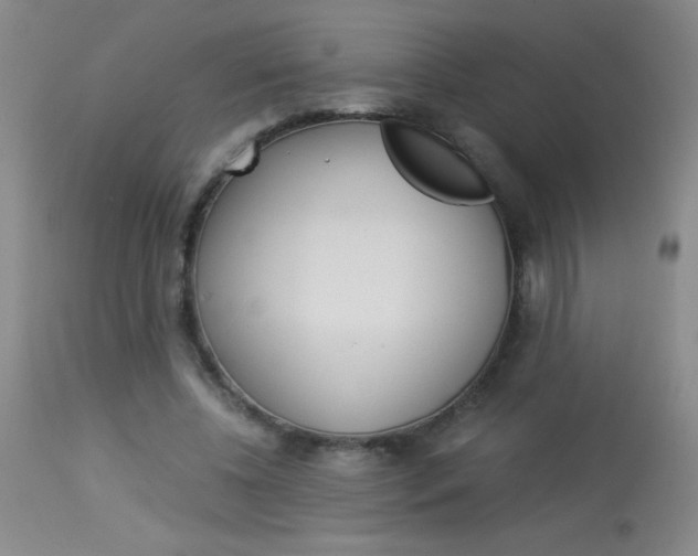 X0000114010540200910020955