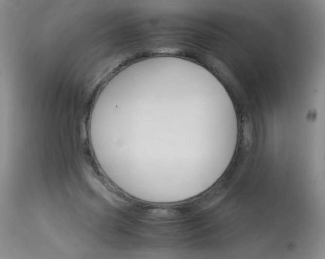 X0000114010541200910020955