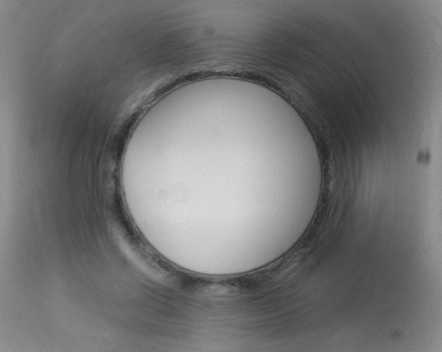 X0000114010542200910020955