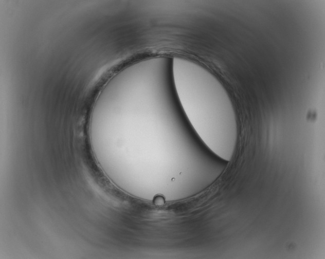 X0000114010543200910020955