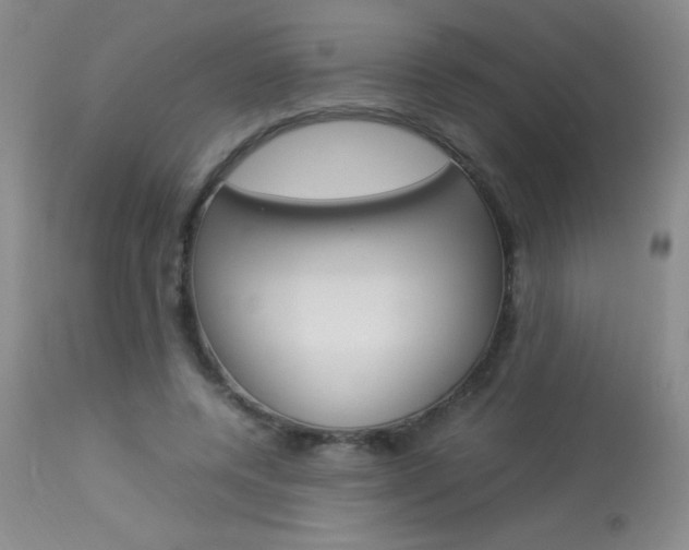 X0000114010544200910020955