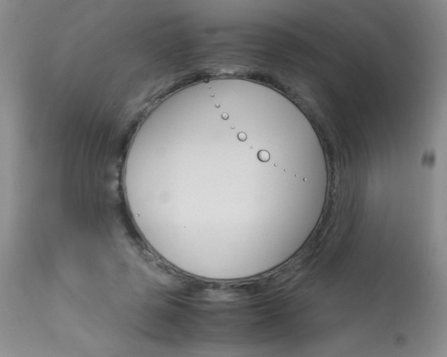 X0000114010545200910020955