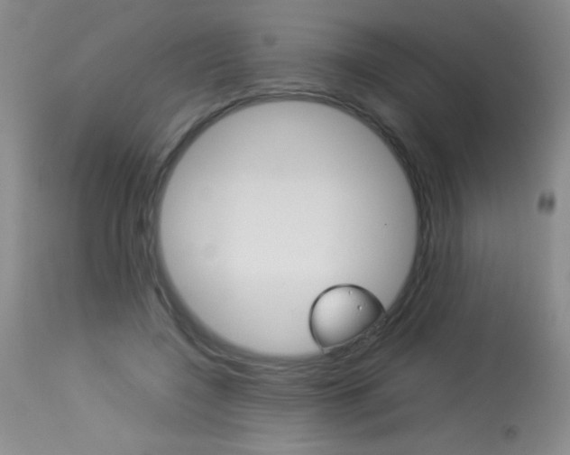 X0000114010548200910020955