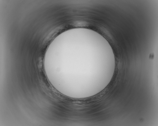 X0000114010549200910020955
