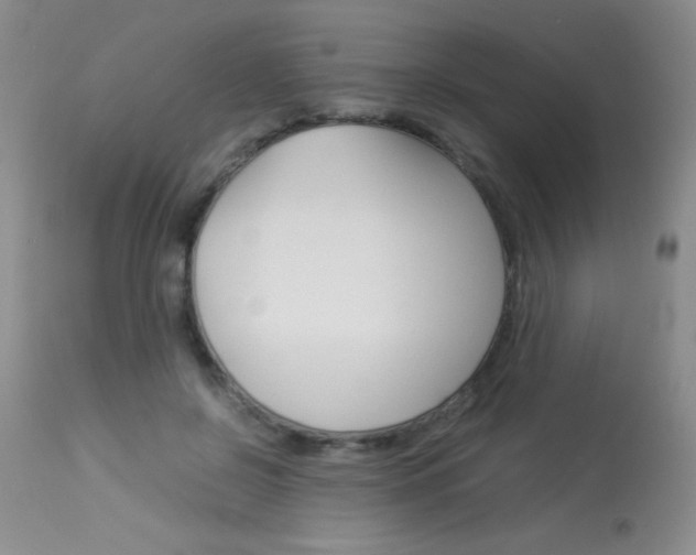 X0000114010550200910020955