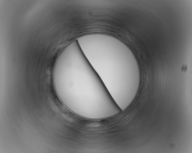 X0000114010551200910020955