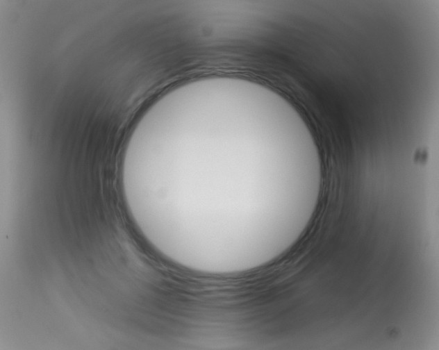 X0000114010552200910020955