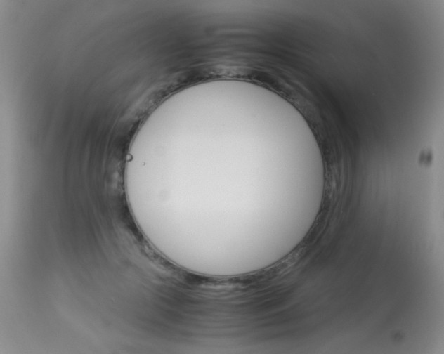 X0000114010553200910020955