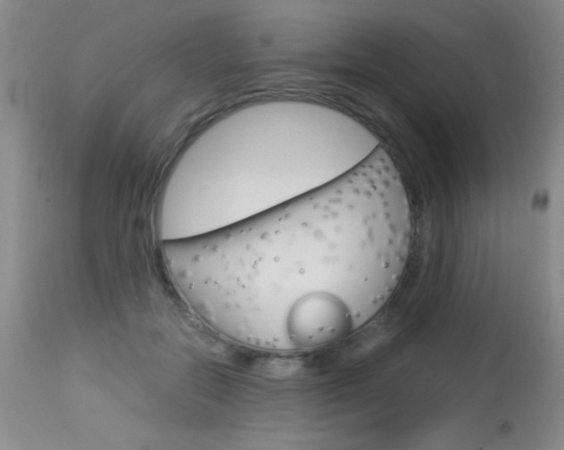 X0000114010554200910020955