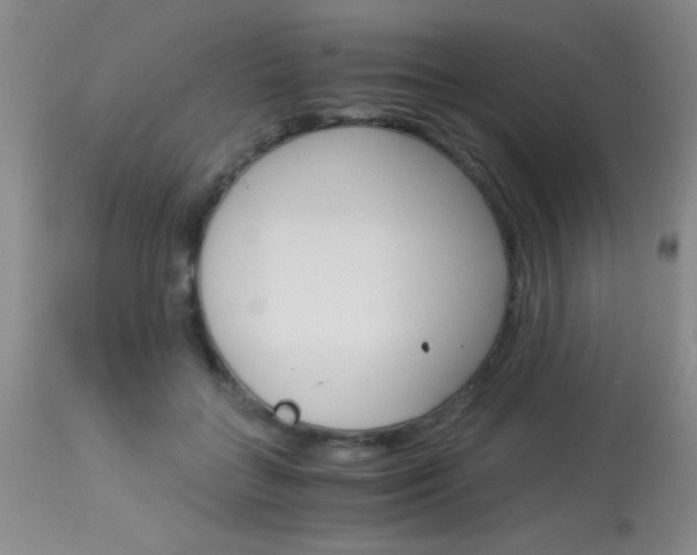 X0000114010555200910020955