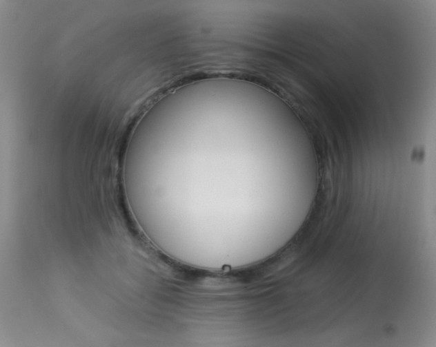 X0000114010556200910020955
