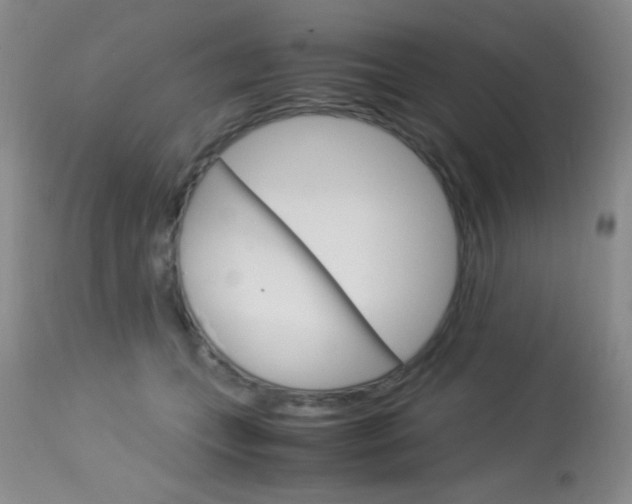 X0000114010559200910020955