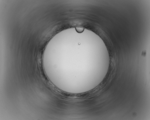 X0000114010561200910020955