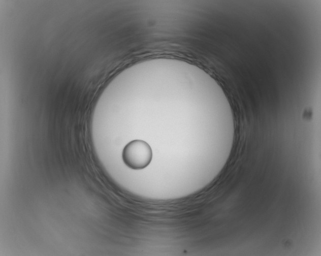 X0000114010562200910020955
