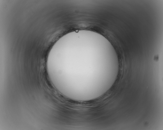 X0000114010563200910020955