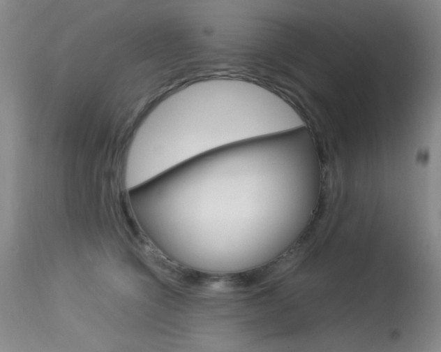X0000114010564200910020955
