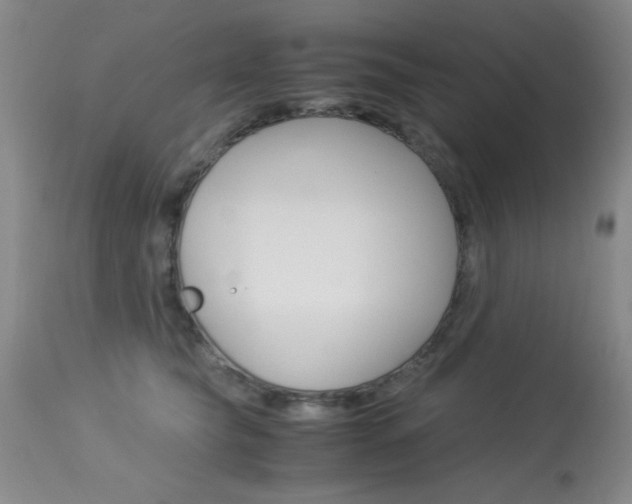 X0000114010565200910020955