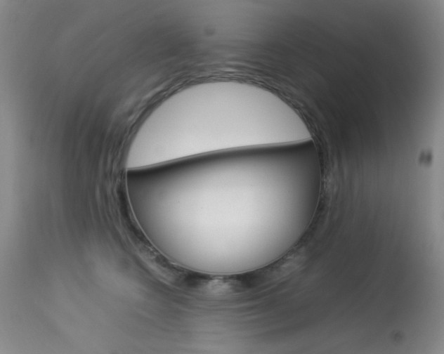 X0000114010566200910020955