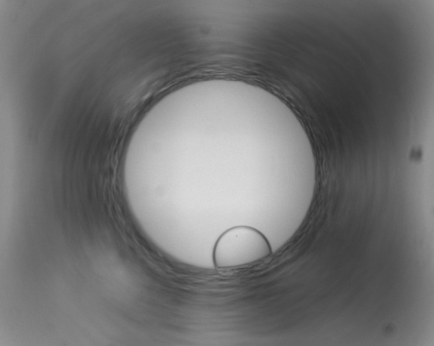 X0000114010568200910020955