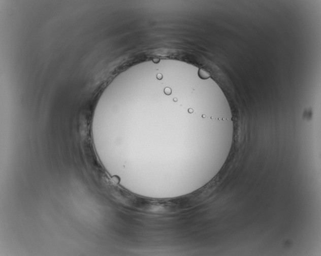 X0000114010569200910020955