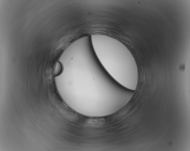 X0000114010571200910020955