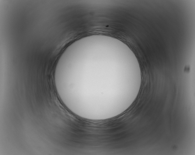 X0000114010573200910020955