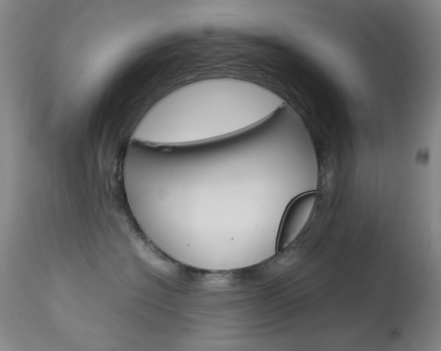 X0000114010574200910020955