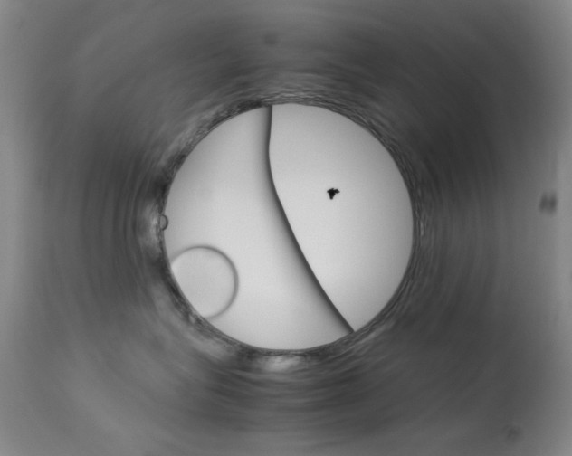 X0000114010575200910020955
