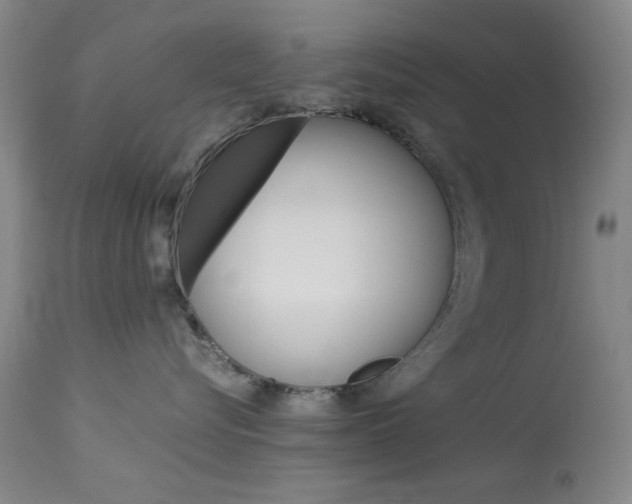 X0000114010576200910020955