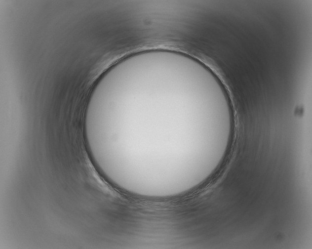 X0000114010577200910020954