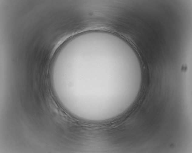 X0000114010579200910020954