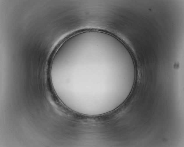 X0000114010580200910020954
