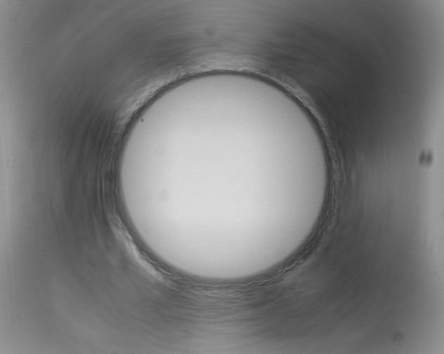 X0000114010581200910020954