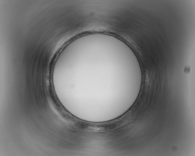X0000114010582200910020954