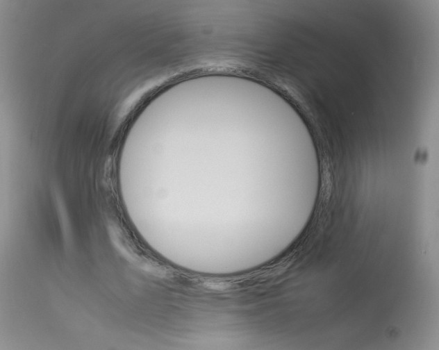X0000114010583200910020954