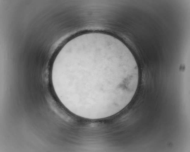 X0000114010584200910020954