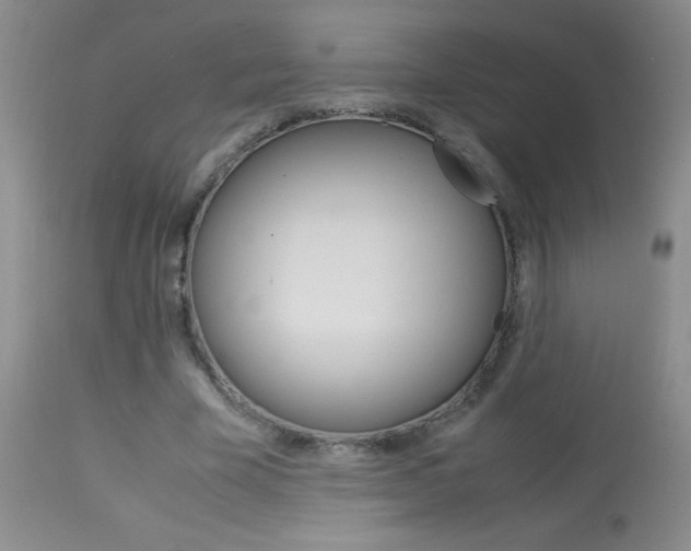 X0000114010585200910020954