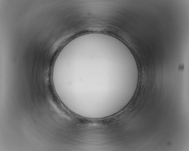 X0000114010586200910020954