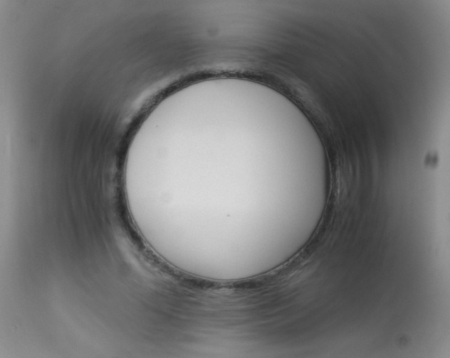 X0000114010588200910020954