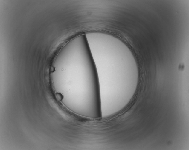 X0000114010589200910020954