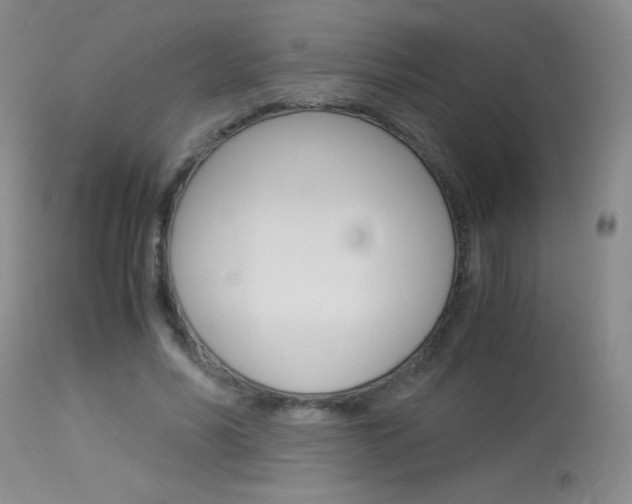 X0000114010590200910020954
