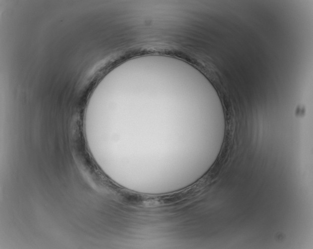 X0000114010591200910020954