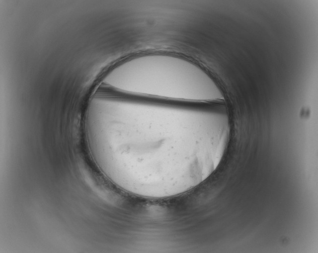 X0000114010592200910020954