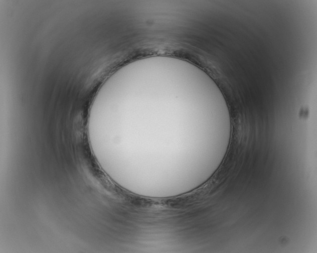 X0000114010594200910020954