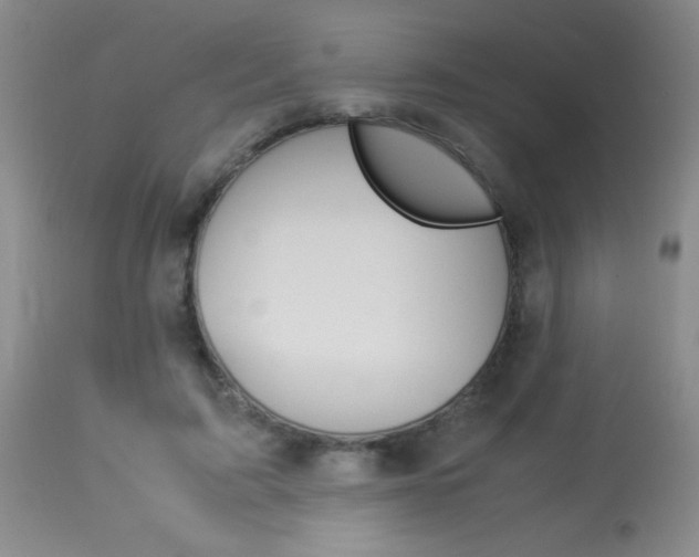 X0000114010595200910020954