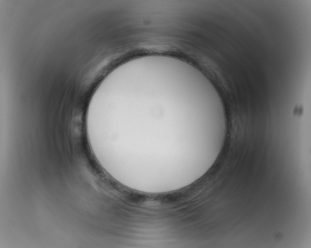 X0000114010596200910020954