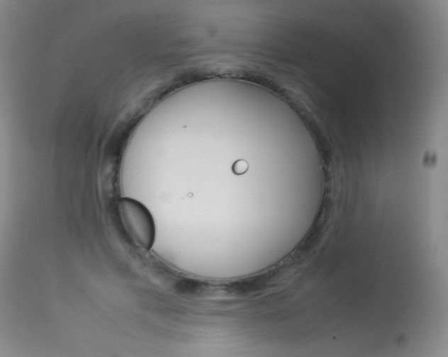 X0000114010597200910020954